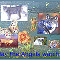 May the Angels Watch