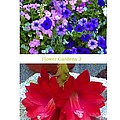 Flower Gardens b