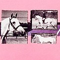 Horse and Rider c