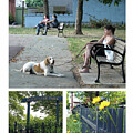City Park Goldstar